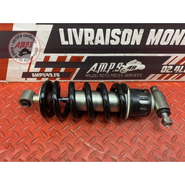 Amortisseur arrière 