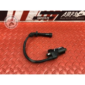 Bobine d'allumage arrière 