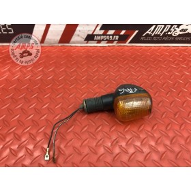 Clignotant arrière gauche 