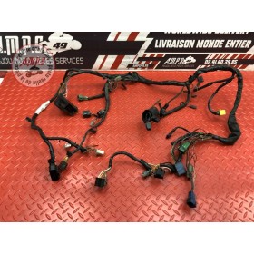 Faisceau électrique principale