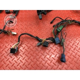 Faisceau électrique principale 