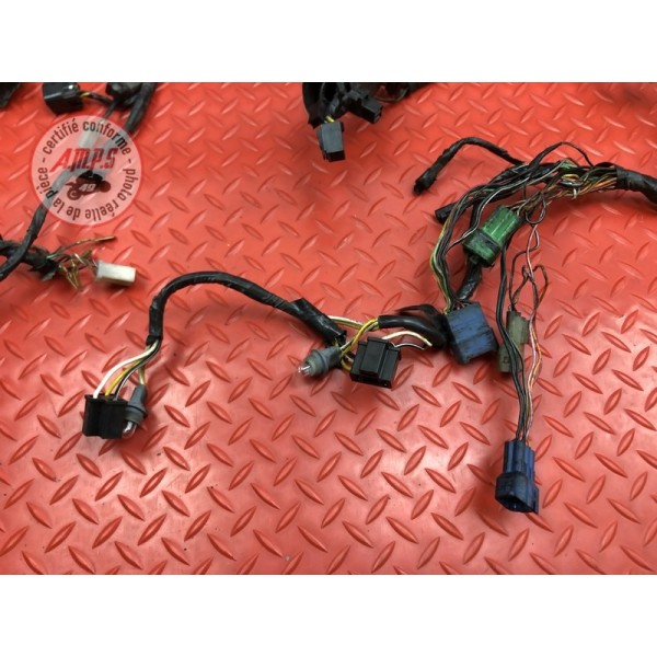 Faisceau électrique principale 