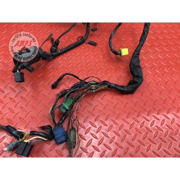 Faisceau électrique principale 