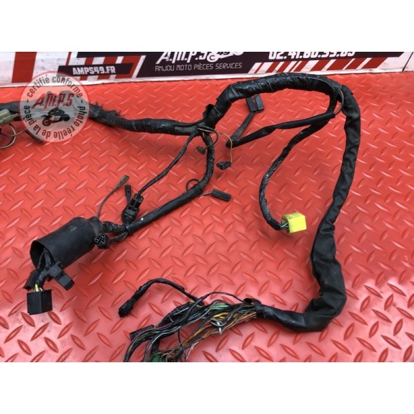 Faisceau électrique principale 