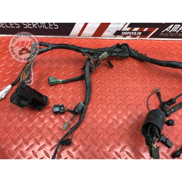 Faisceau électrique principale 