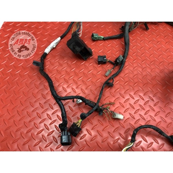 Faisceau électrique principale 