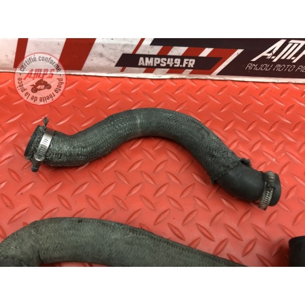 Durite de refroidissement 