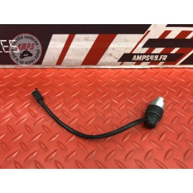 Sonde de température d'eau 