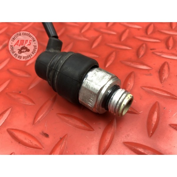 Sonde de température d'eau 