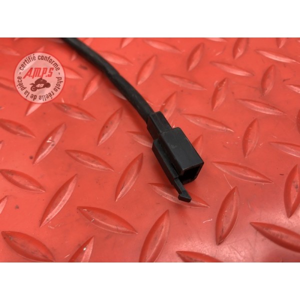 Sonde de température d'eau 