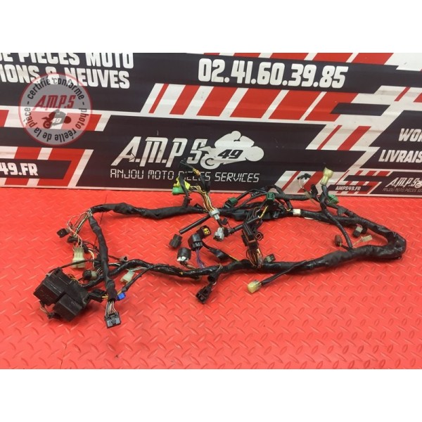 Faisceau électrique principale 