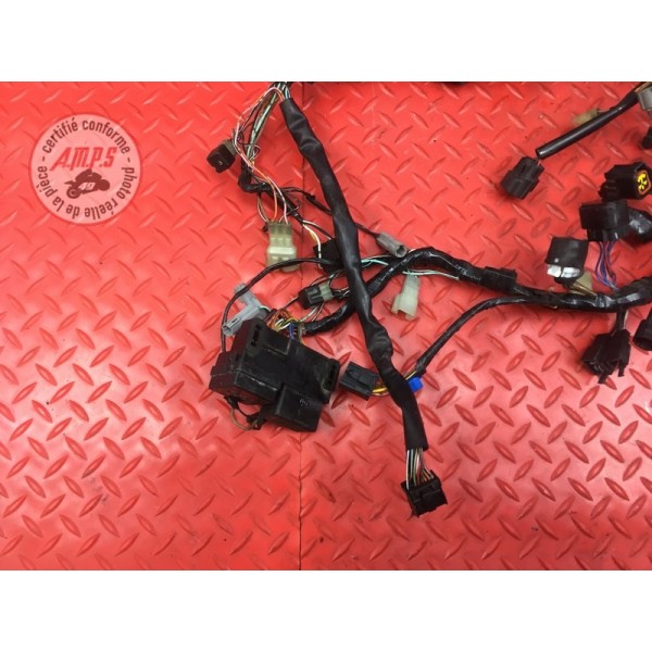 Faisceau électrique principale 