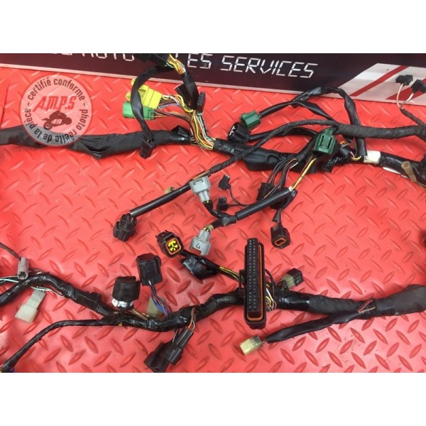 Faisceau électrique principale 