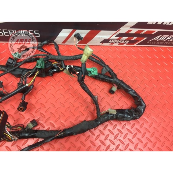 Faisceau électrique principale 