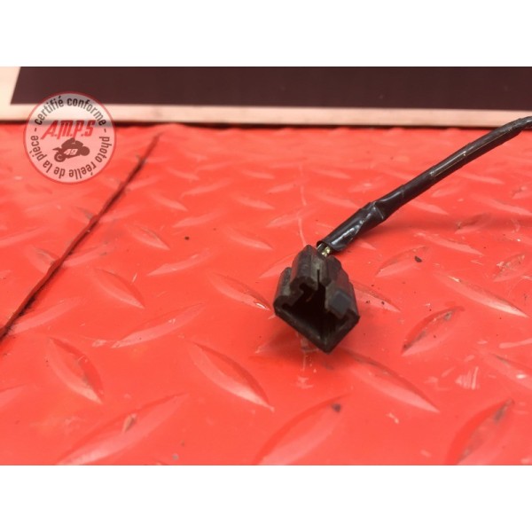 feu plaque d'immatriculation 