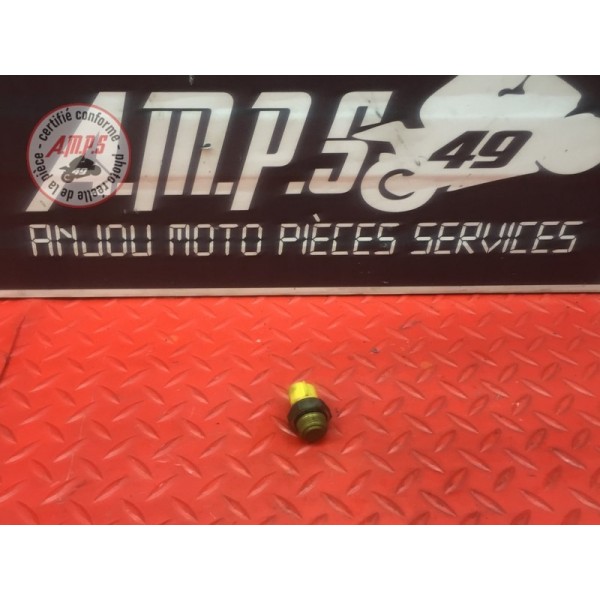 Sonde de température d'eau