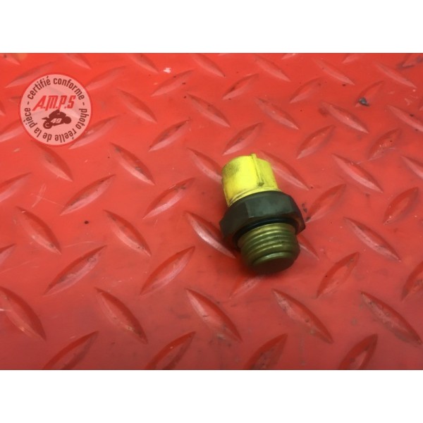 Sonde de température d'eau 