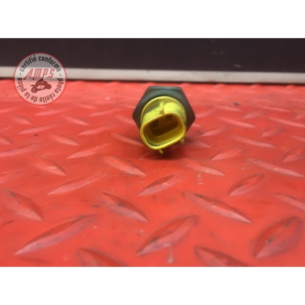 Sonde de température d'eau 