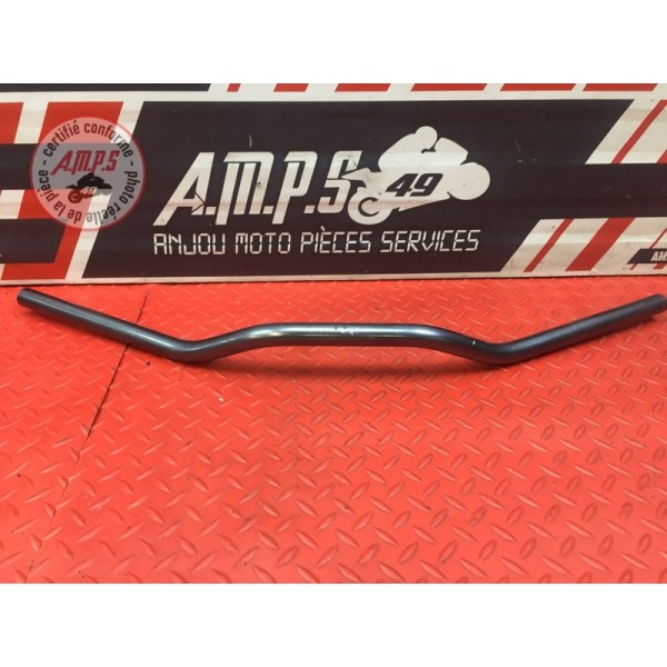 Guidon 