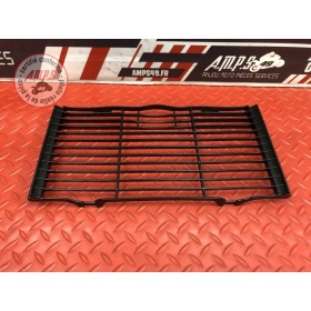 Grille de radiateur