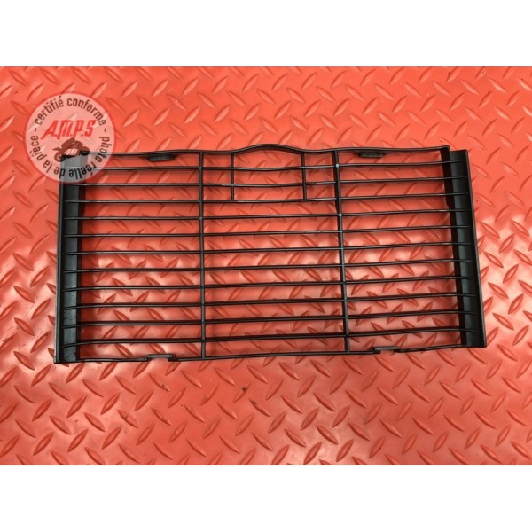 Grille de radiateur 
