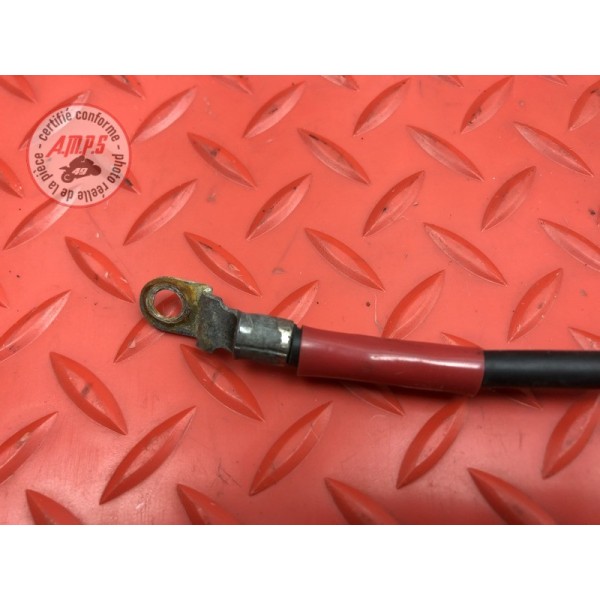 Cable de batterie 