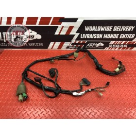 Faisceau électrique principale