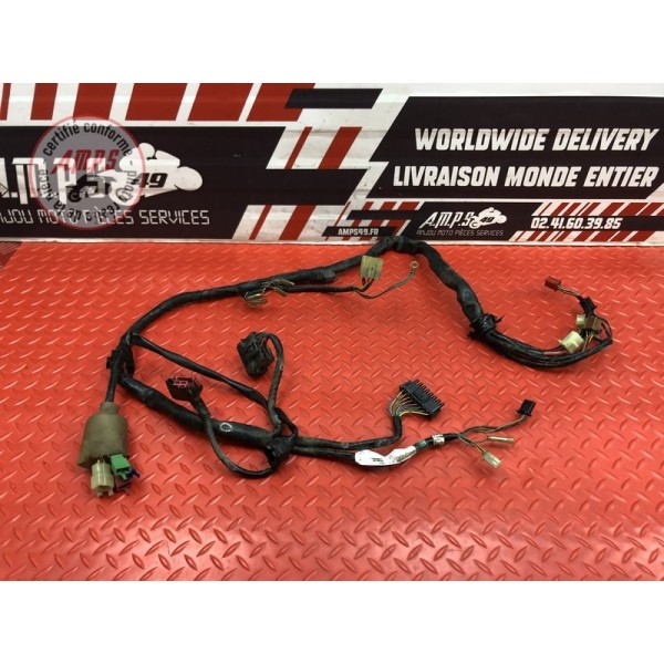 Faisceau électrique principale