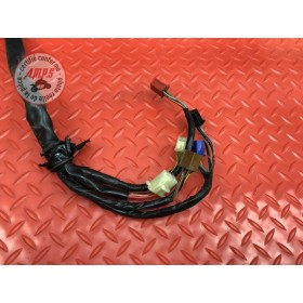 Faisceau électrique principale 