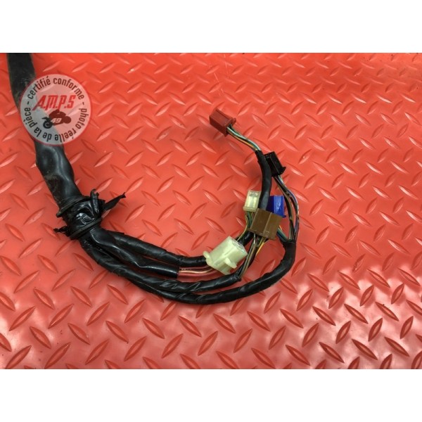 Faisceau électrique principale 