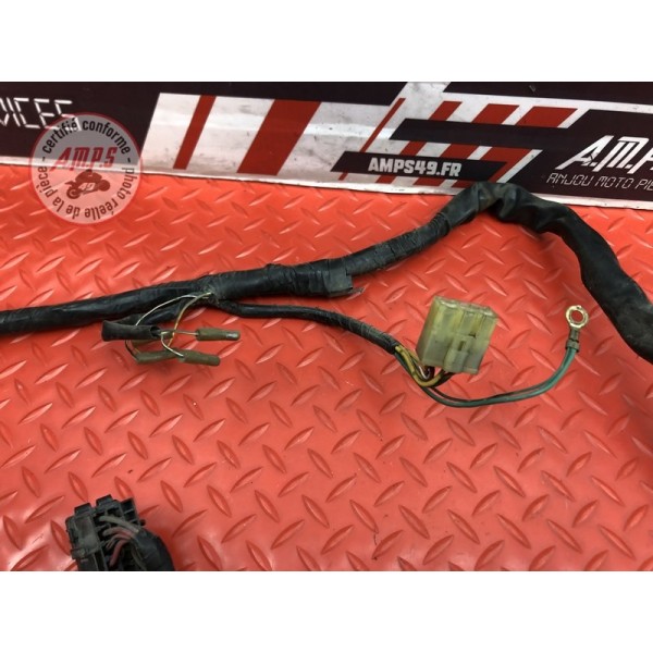 Faisceau électrique principale 