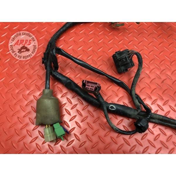 Faisceau électrique principale 