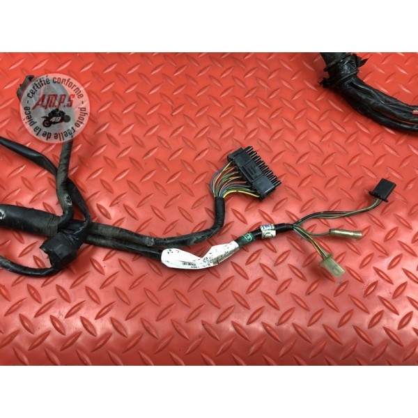 Faisceau électrique principale 