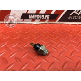 Sonde de température d'eau 