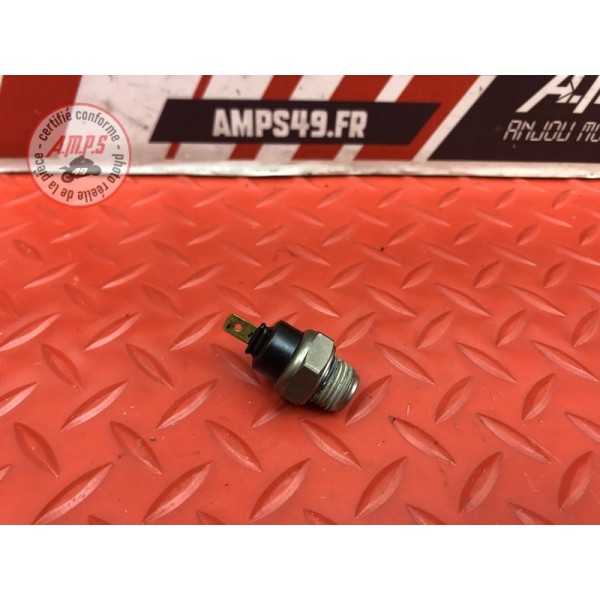 Sonde de température d'eau