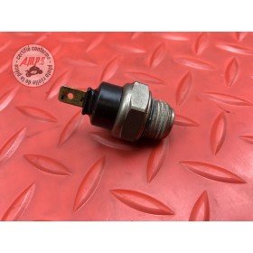 Sonde de température d'eau 