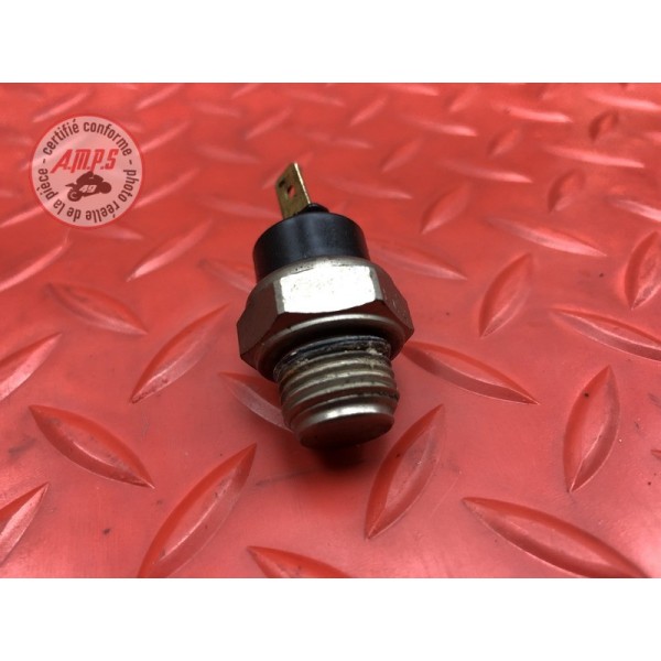 Sonde de température d'eau 