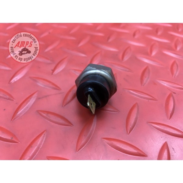 Sonde de température d'eau 