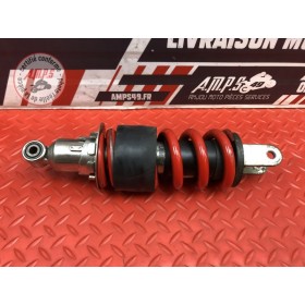 Amortisseur arrière