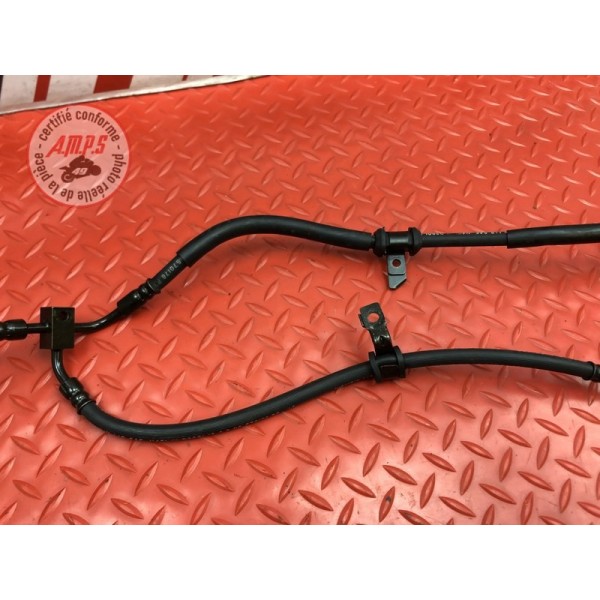 Durite de frein avant 