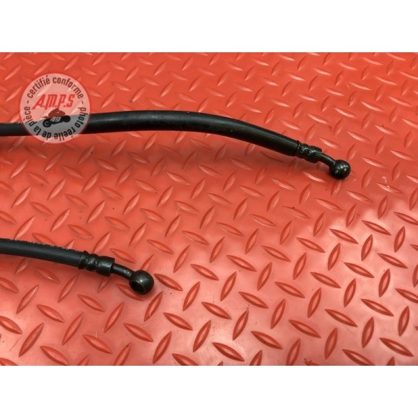 Durite de frein avant 