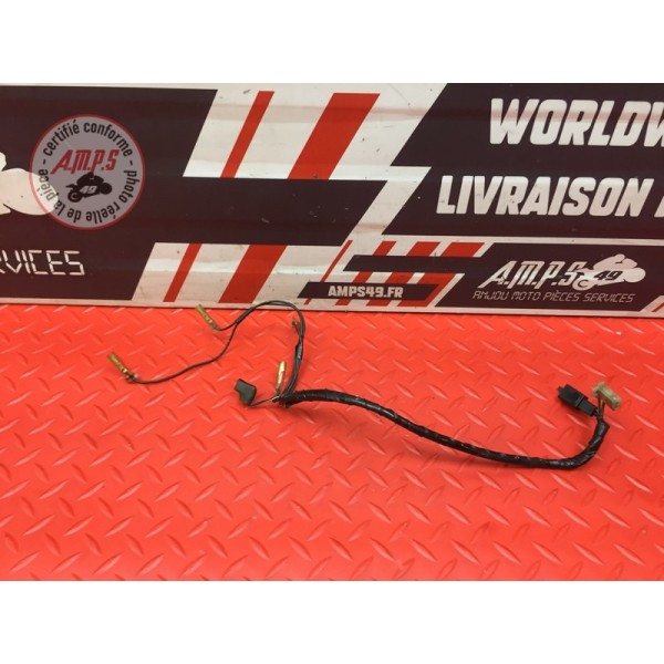 Faisceau chauffage cuve de carburateur 