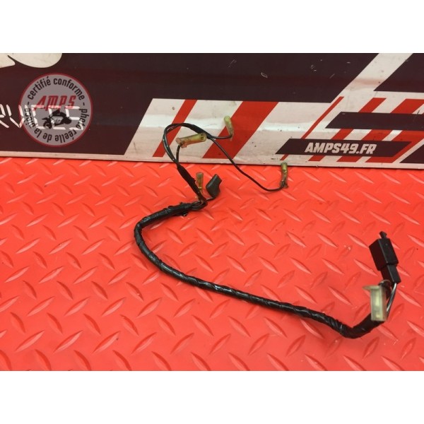 Faisceau chauffage cuve de carburateur 