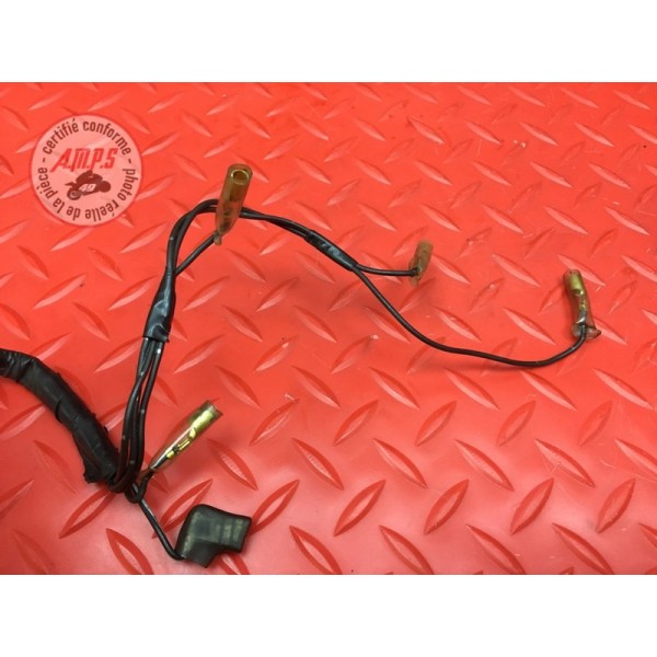 Faisceau chauffage cuve de carburateur 