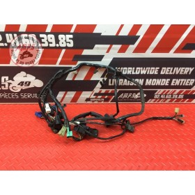 Faisceau électrique principale 