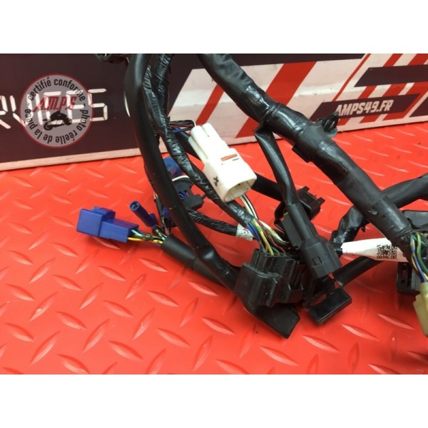 Faisceau électrique principale 