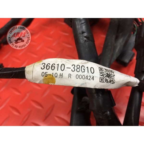 Faisceau électrique principale 