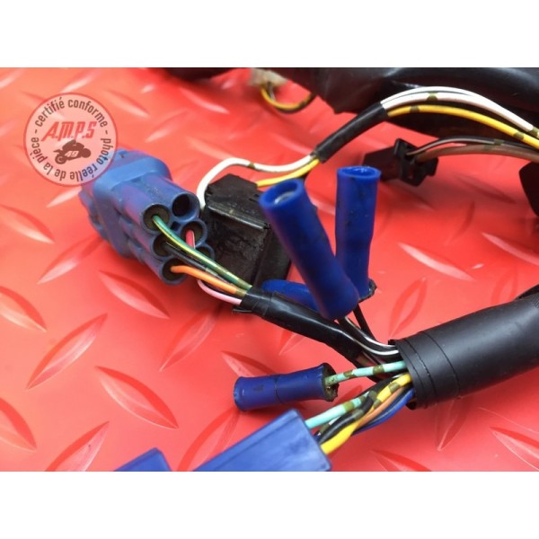 Faisceau électrique principale 