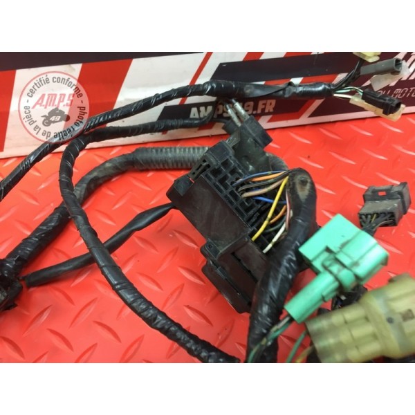 Faisceau électrique principale 