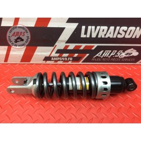 Amortisseur arrière 